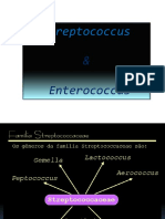 estreptococos__enterococos