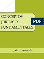 Conceptos Juridicos Fundamentales
