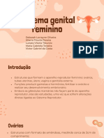 Sistema genital feminino - ofc