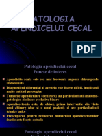 2. Patologia Apendicelui Cecal