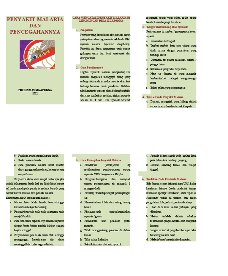 Leaflet Malaria | PDF
