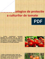 Metode Protectia Tomatelor