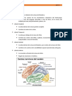 Biologia Parte V