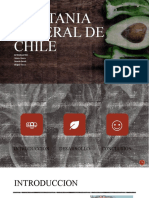 Capitania General de Chile