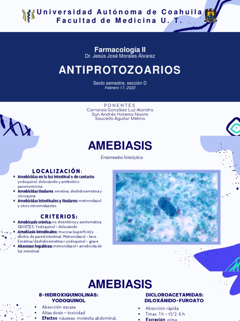 Antiprotozoos1 PDF Medicina Enfermedades y trastornos
