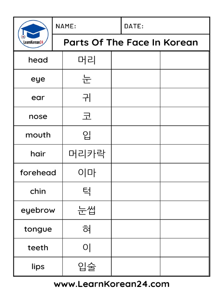 Parts of The Face in Korean Worksheet PDF