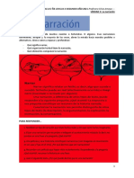 Iaelco Ñ8-Segundo Año 2021-La Narración