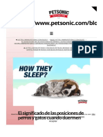 El Significado de Las Posiciones de Perros y Gatos Cuando Duermen