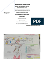 Act.-05 Fisiopatología de La Glándula Tiroides
