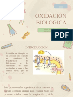 Oxidacion Biologica Final
