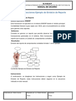 17) Manual de Instrucciones Ejemplo de Emisión de Reporte