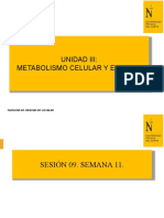 Semana-11 Proc Biol