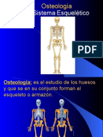 Osteologia e Introducción A La Osteología