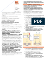 Fisiologia Músculo Cardíaco