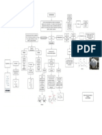 Mapa Conceptual Carbohidratos