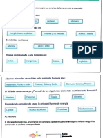 Actividad Composicion Quimica de Los Seres Vivos - Ingreso Medicina 21