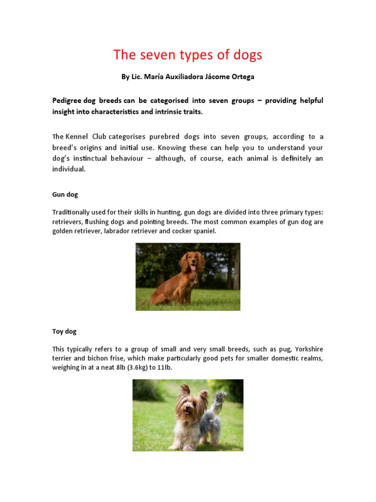 The Seven Types of Dogs | PDF | Dog Breeds | Dogs