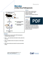 2016 A Mouse Model of Zika Virus Pathogenesis