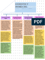 Organizador Gráfico 02