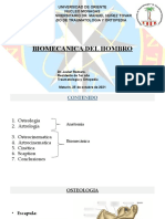 Biomecánica del hombro: osteología, artrología, osteocinematica y artrocinematica
