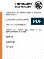 teoria del caso_SESION 13