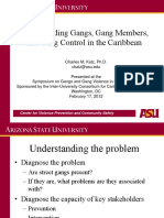Gangs Presentation - Katz