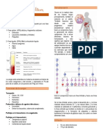 Alteraciones Hemolíticas