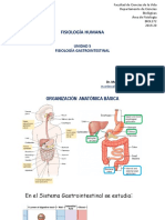 Clase 8 - Fisiologia Gastrointestinal