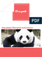 Oso Panda