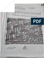 Gestion Organizacional - Angrisani - PDF Versión 1