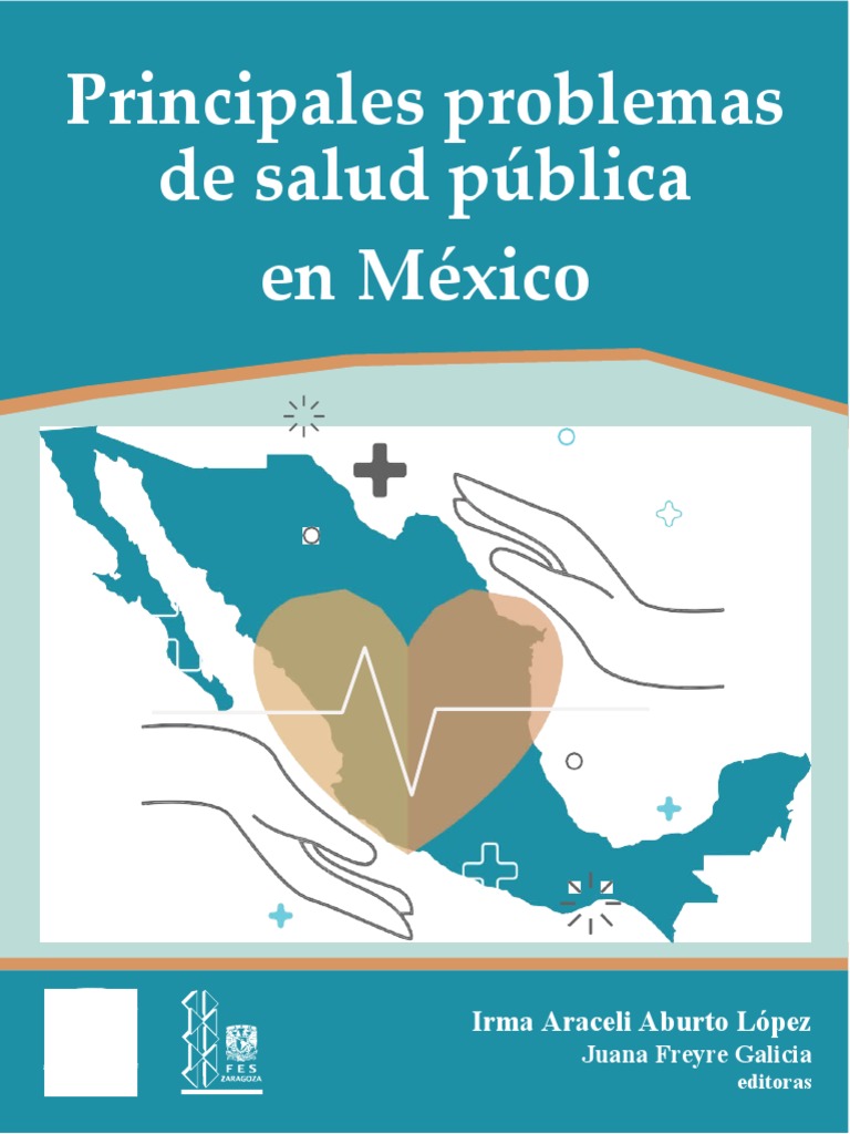 Salud Publica En Mexico Pdf Medicina Salario