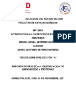 Reporte de Pracitca Identificacion de Aminoacidos y Proteinas