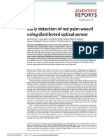 Early Detection of Red Palm Weevil Using Distributed Optical Sensor