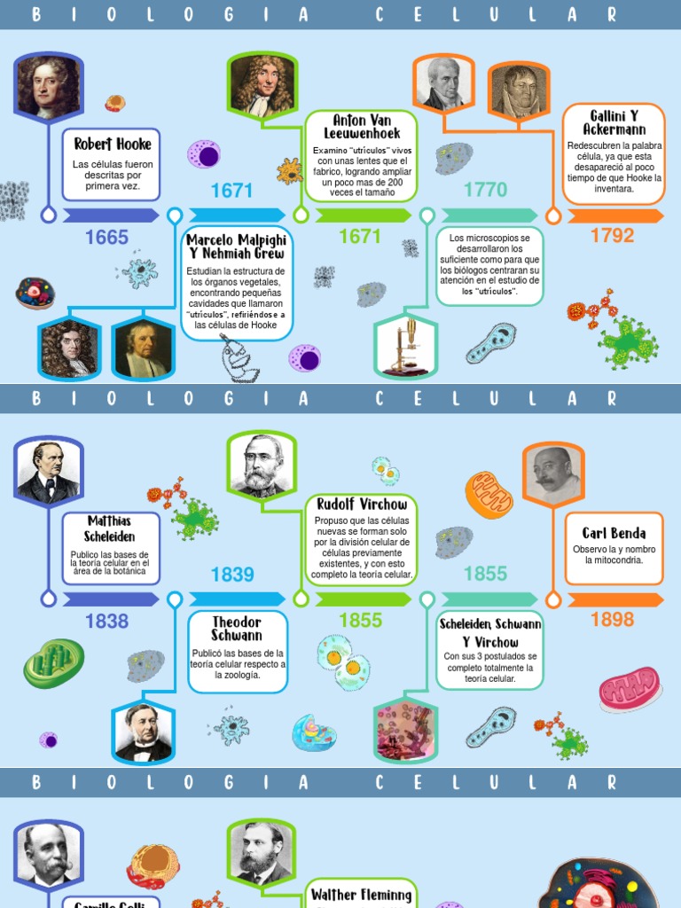 Linea Del Tiempo de La Biología Celular PDF Biología Celular) Organismos