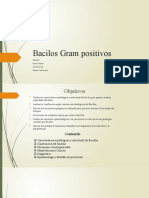 Bacilos Gram Positivos