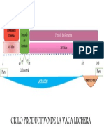 Ciclo productivo de la vaca lechera