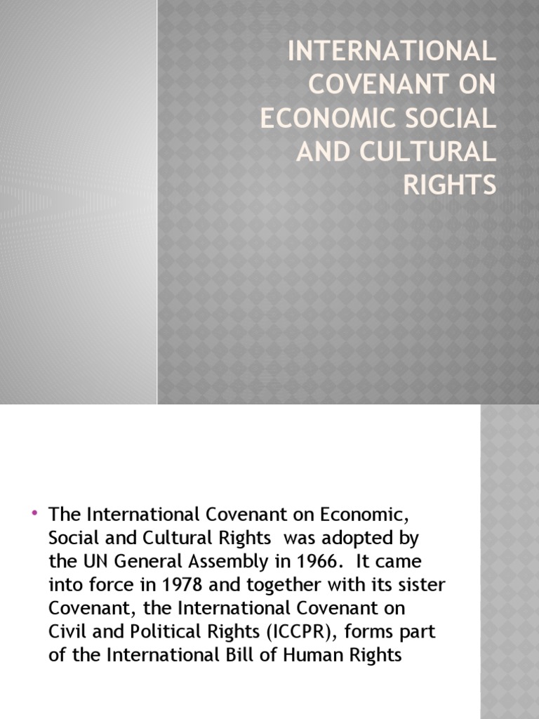 International Covenant On Economic Social and Cultural Rights 1 | PDF ...