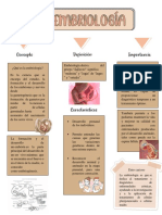 Conceptos Basicos de Embriologia Mapa