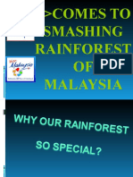 Comes To Smashing Rainforest OF Malaysia