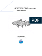 Status Review of The Coelacanth