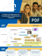 Cuidados de Enfermería en Toxoplasmosis Gestacional