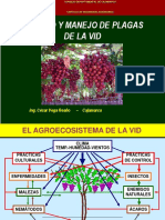 Sanidad y Manejo de Plagas de La Vid - CVR - 150711 BN