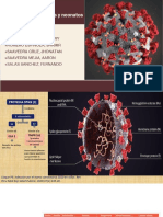 COVID_Fisiopatologia