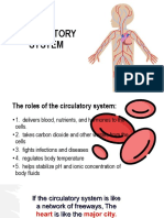 Circulatory System