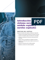Tema I Sistema Nervioso.pdf.