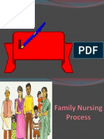 Family Nursing Process 1
