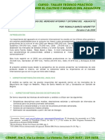 Análisis Del Mercado Interno y Externo Del Aguacate