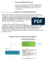 7 Auditoría en Las Microfinanzas