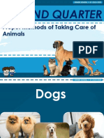 Proper Care of Animals Guide