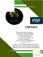 ANEXO I - Investigación Preliminar